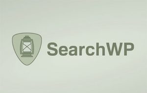 pluigin-de-pesquisa-searchwp